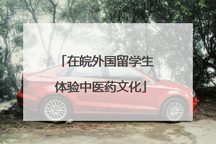在皖外国留学生体验中医药文化