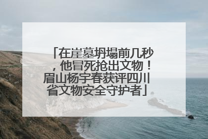 在崖墓坍塌前几秒，他冒死抢出文物！眉山杨宇春获评四川省文物安全守护者