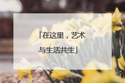 在这里，艺术与生活共生
