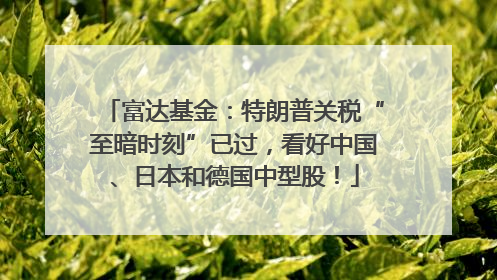富达基金：特朗普关税“至暗时刻”已过，看好中国、日本和德国中型股！