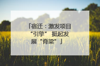宿迁：激发项目“引擎” 挺起发展“脊梁”