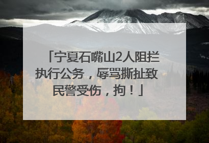 宁夏石嘴山2人阻拦执行公务，辱骂撕扯致民警受伤，拘！