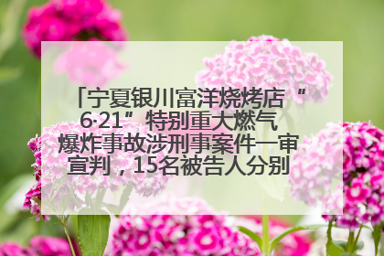 宁夏银川富洋烧烤店“6·21”特别重大燃气爆炸事故涉刑事案件一审宣判，15名被告人分别判刑六年至一年不等