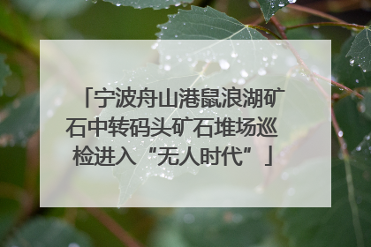 宁波舟山港鼠浪湖矿石中转码头矿石堆场巡检进入“无人时代”