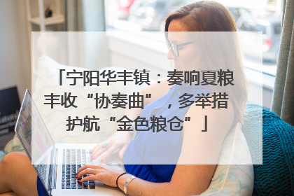 宁阳华丰镇：奏响夏粮丰收“协奏曲”，多举措护航“金色粮仓”