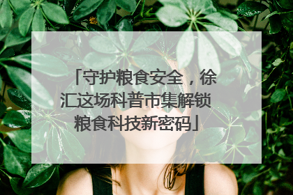 守护粮食安全，徐汇这场科普市集解锁粮食科技新密码