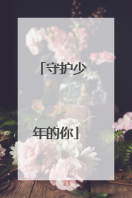 守护少年的你