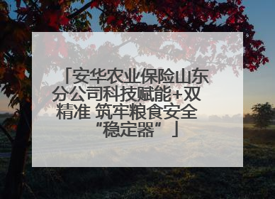 安华农业保险山东分公司科技赋能+双精准 筑牢粮食安全“稳定器”