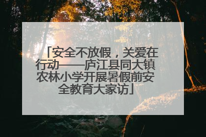 安全不放假，关爱在行动——庐江县同大镇农林小学开展暑假前安全教育大家访