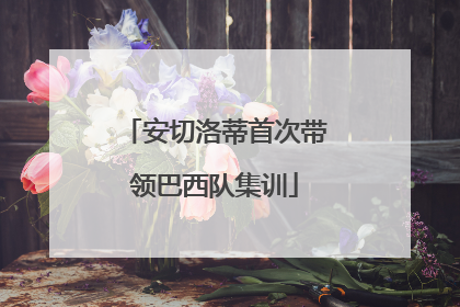 安切洛蒂首次带领巴西队集训