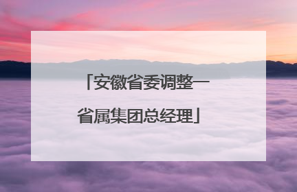 安徽省委调整一省属集团总经理