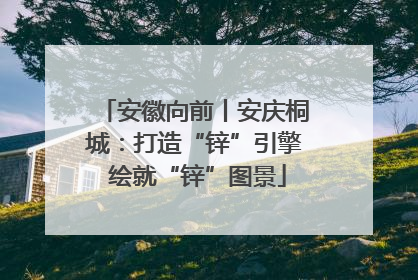 安徽向前丨安庆桐城：打造“锌”引擎 绘就“锌”图景