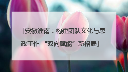 安徽淮南：构建团队文化与思政工作 “双向赋能”新格局