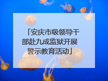 安庆市级领导干部赴九成监狱开展警示教育活动