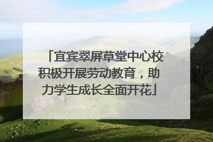 宜宾翠屏草堂中心校积极开展劳动教育，助力学生成长全面开花
