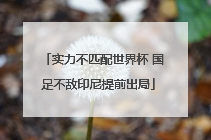实力不匹配世界杯 国足不敌印尼提前出局
