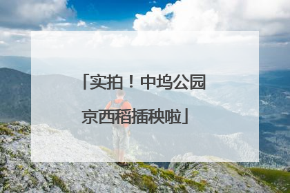 实拍！中坞公园京西稻插秧啦