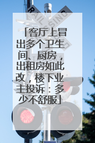 客厅上冒出多个卫生间、厨房，出租房如此改，楼下业主投诉：多少不舒服