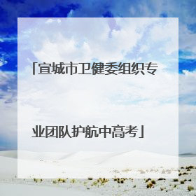宣城市卫健委组织专业团队护航中高考