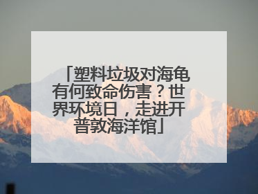 塑料垃圾对海龟有何致命伤害？世界环境日，走进开普敦海洋馆