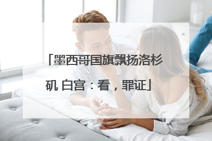 墨西哥国旗飘扬洛杉矶 白宫：看，罪证
