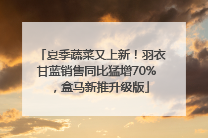 夏季蔬菜又上新！羽衣甘蓝销售同比猛增70%，盒马新推升级版
