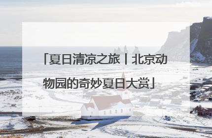 夏日清凉之旅丨北京动物园的奇妙夏日大赏
