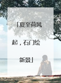 夏至荷风起，石门绘新景