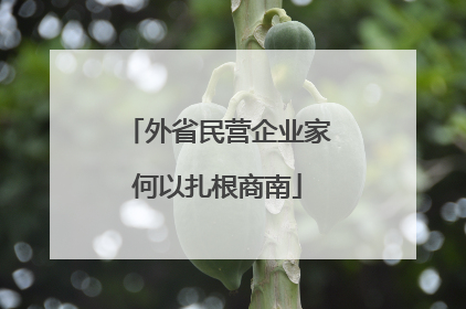 外省民营企业家何以扎根商南