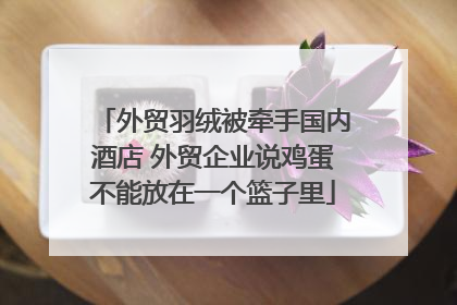 外贸羽绒被牵手国内酒店 外贸企业说鸡蛋不能放在一个篮子里