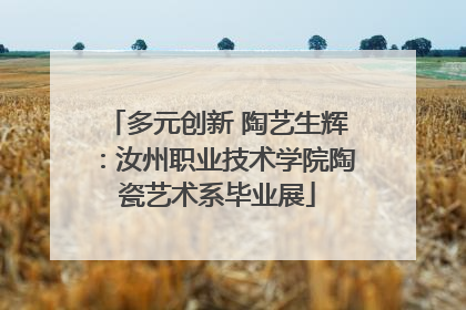 多元创新 陶艺生辉：汝州职业技术学院陶瓷艺术系毕业展