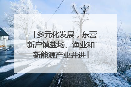 多元化发展，东营新户镇盐场、渔业和新能源产业并进