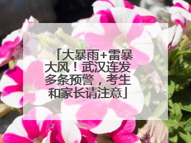 大暴雨+雷暴大风！武汉连发多条预警，考生和家长请注意