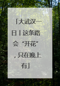 大武汉一日丨这条路会“开花”，只在晚上有
