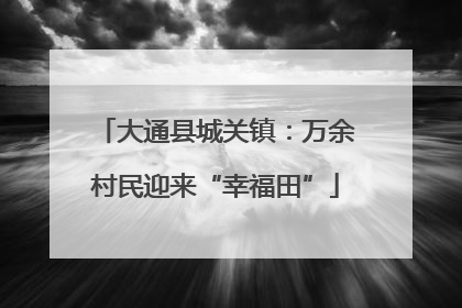 大通县城关镇：万余村民迎来“幸福田”