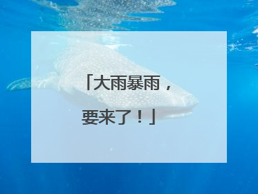 大雨暴雨，要来了！