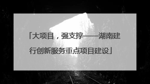 大项目，强支撑——湖南建行创新服务重点项目建设