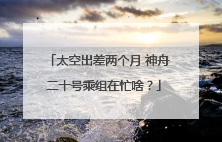 太空出差两个月 神舟二十号乘组在忙啥？