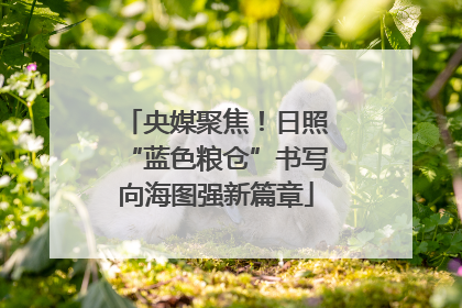 央媒聚焦！日照“蓝色粮仓”书写向海图强新篇章