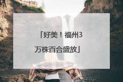 好美！福州3万株百合盛放