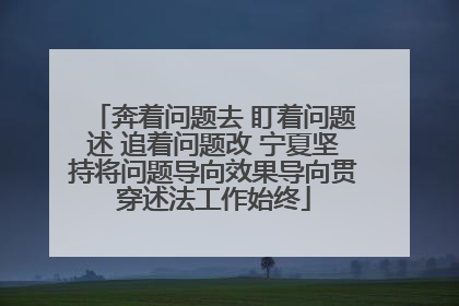 奔着问题去 盯着问题述 追着问题改 宁夏坚持将问题导向效果导向贯穿述法工作始终