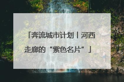 奔流城市计划丨河西走廊的“紫色名片”