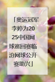 奥运冠军李婷为2025中国网球巡回赛临汾网球公开赛助兴