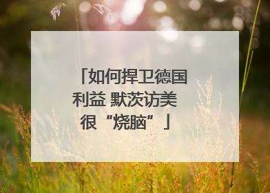 如何捍卫德国利益 默茨访美很“烧脑”