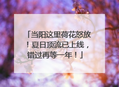 当阳这里荷花怒放！夏日顶流已上线，错过再等一年！