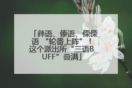 彝语、傣语、傈僳语 “轮番上阵”！这个派出所“三语BUFF”叠满