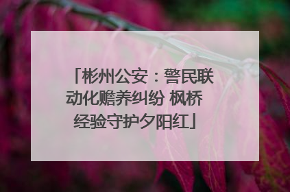 彬州公安：警民联动化赡养纠纷 枫桥经验守护夕阳红