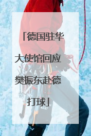 德国驻华大使馆回应樊振东赴德打球