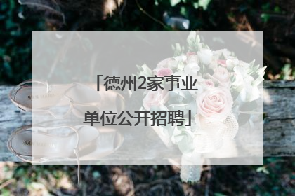 德州2家事业单位公开招聘