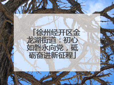 徐州经开区金龙湖街道：初心如磐永向党，砥砺奋进新征程